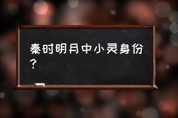 秦时明月机关兽资质 秦时明月中小灵身份？