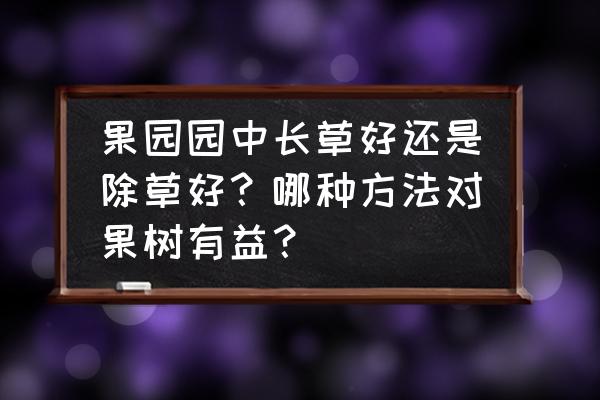 船式水田旋耕机的弊端 果园园中长草好还是除草好？哪种方法对果树有益？