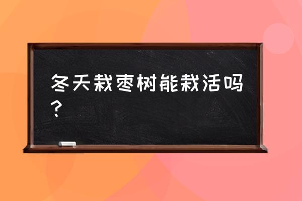 一亩酸枣能收入多少元 冬天栽枣树能栽活吗？