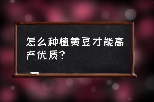 种大豆怎么种最佳 怎么种植黄豆才能高产优质？