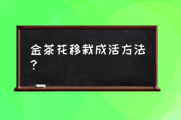 金花茶树苗适合北方种植吗 金茶花移栽成活方法？