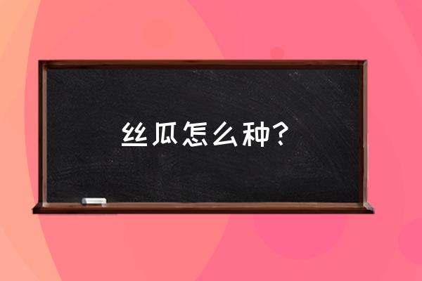 家庭种植丝瓜怎么才能种好 丝瓜怎么种？