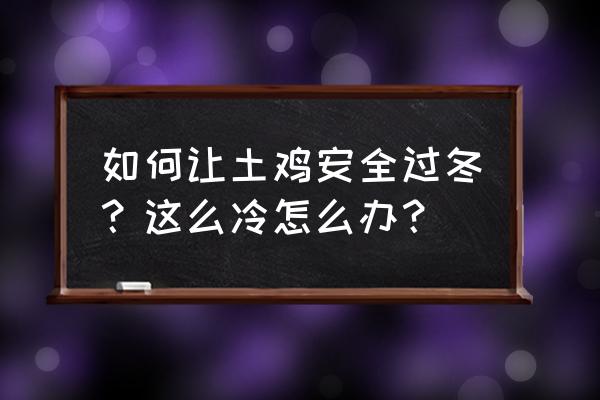 秋冬保健和疾病预防 如何让土鸡安全过冬？这么冷怎么办？