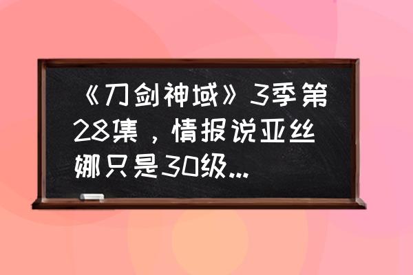 刀剑神域黑衣剑士是一款什么游戏 《刀剑神域》3季第28集，情报说亚丝娜只是30级小号，对手是神级号，是怎么回事？