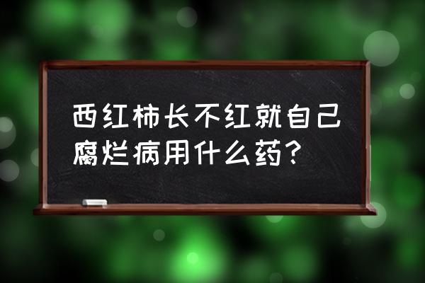 西红柿溃疡病用什么药最好 西红柿长不红就自己腐烂病用什么药？