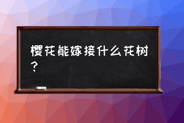 春季嫁接樱桃哪种方法最好 樱花能嫁接什么花树？