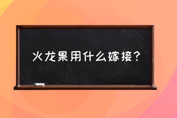 火龙果嫁接最快的方法 火龙果用什么嫁接？