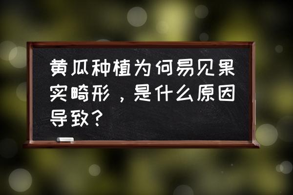 可溶性采光带设置规范 黄瓜种植为何易见果实畸形，是什么原因导致？