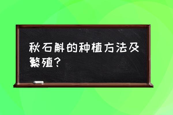 正确的石斛种植方法 秋石斛的种植方法及繁殖？