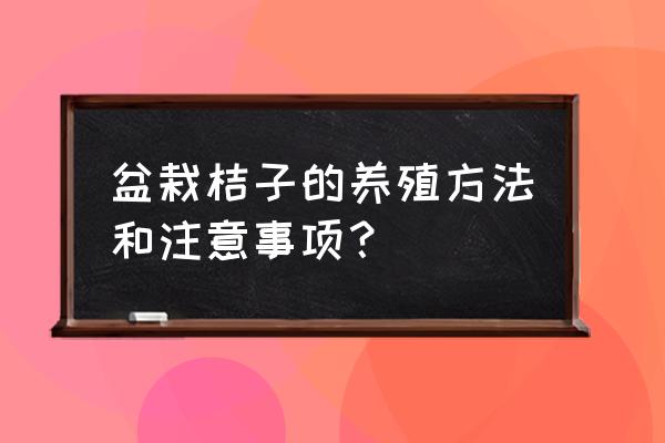 桔子树怎么种才能活 盆栽桔子的养殖方法和注意事项？