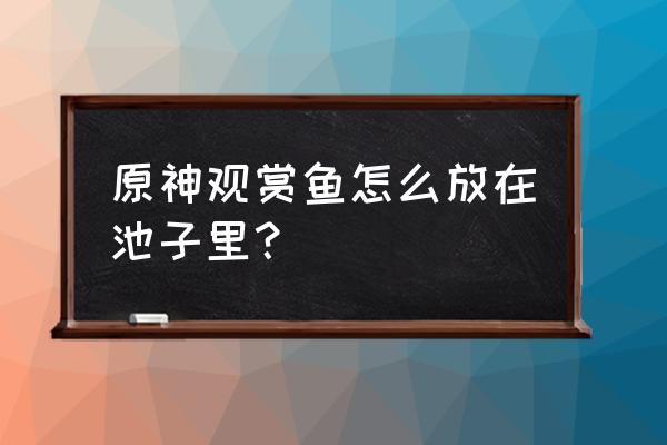 原神钓出来的观赏鱼在哪 原神观赏鱼怎么放在池子里？