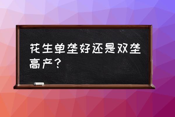 花生如何种植才能高产 花生单垄好还是双垄高产？