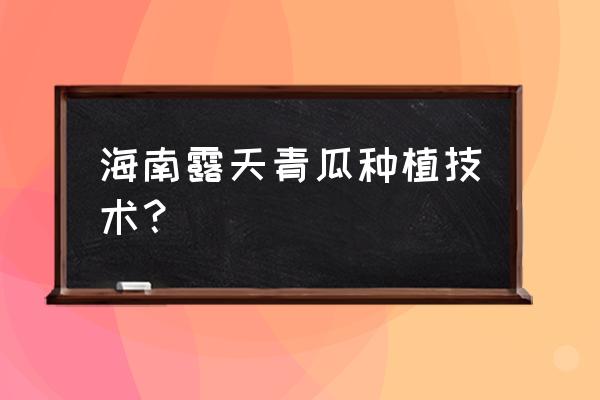 黄瓜秧掐尖后多久长侧尖 海南露天青瓜种植技术？