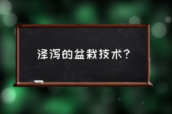 泽泻为什么不能春季种植 泽泻的盆栽技术？