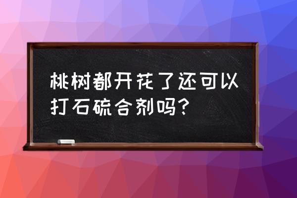 桃树秋天开花了怎么办 桃树都开花了还可以打石硫合剂吗？