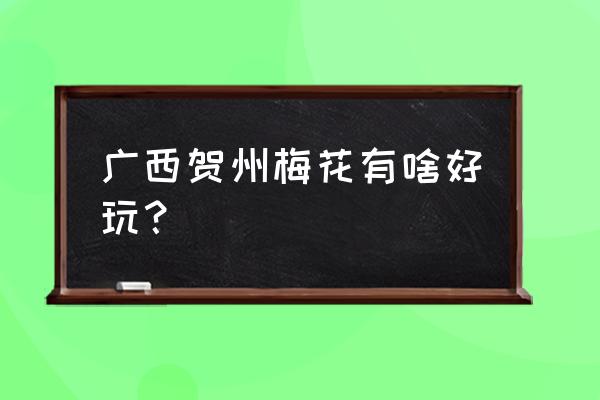 贺州区内最值得自驾游的地方 广西贺州梅花有啥好玩？