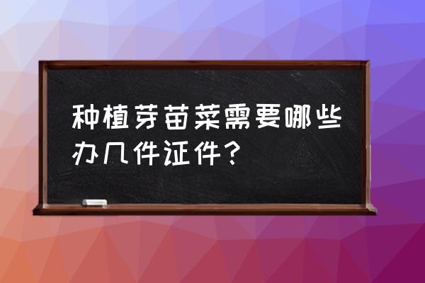 无土栽培花生芽技术 种植芽苗菜需要哪些办几件证件？