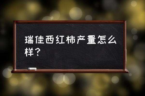 小番茄亩产量一般多少斤 瑞佳西红柿产量怎么样？