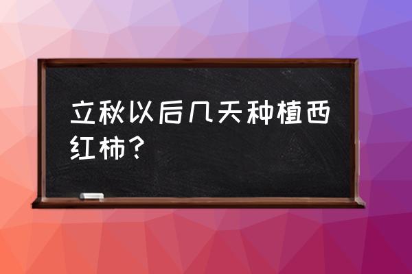 种植番茄的最佳时间 立秋以后几天种植西红柿？