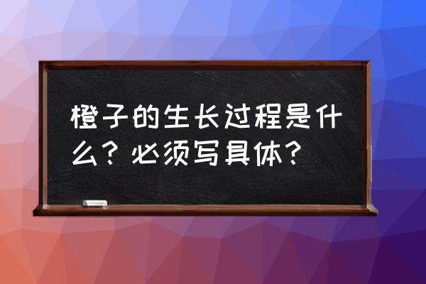 水果是怎么快速生长的 橙子的生长过程是什么？必须写具体？