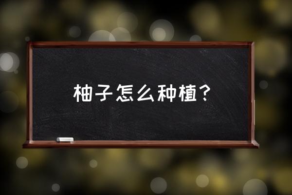 柚子树冬季扦插正确方法 柚子怎么种植？