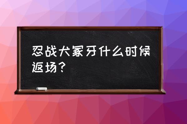 火影忍者组织怎么分配忍战礼包 忍战犬冢牙什么时候返场？