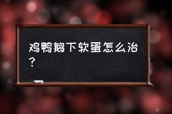 母鸡喂什么石粉好吃 鸡鸭鹅下软蛋怎么治？