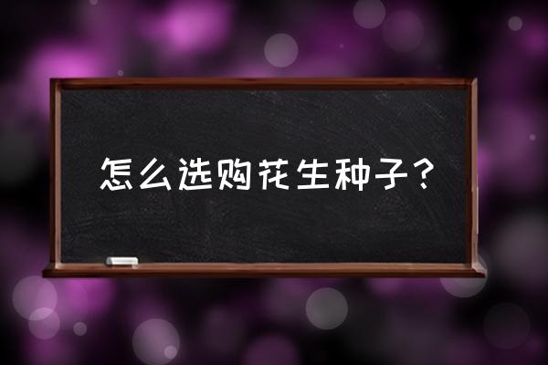 在农村怎么找种子 怎么选购花生种子？