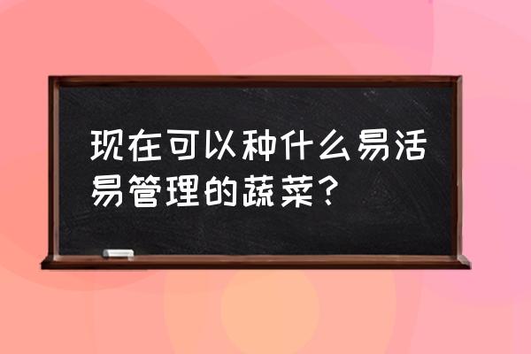 如何挑选十六种蔬菜 现在可以种什么易活易管理的蔬菜？