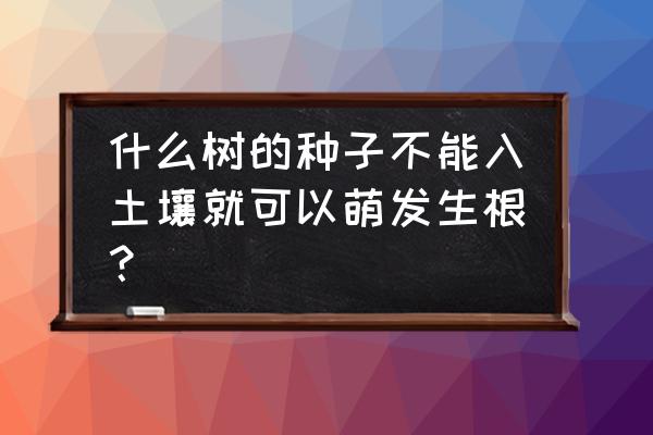 什么种子生长不需要大的土壤 什么树的种子不能入土壤就可以萌发生根？