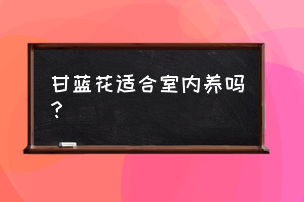 家庭种植甘蓝的方法 甘蓝花适合室内养吗？