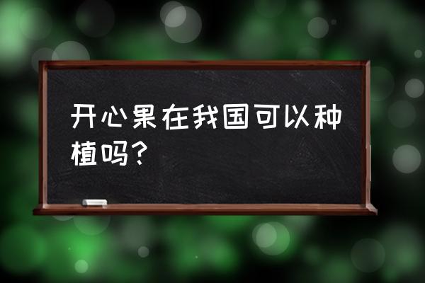 开心果型号对照表 开心果在我国可以种植吗？