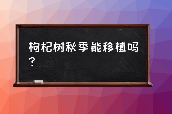 枸杞苗最佳种植时间 枸杞树秋季能移植吗？