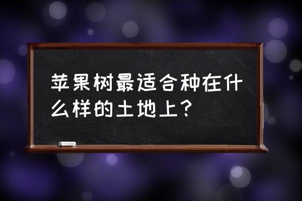 种植什么品种的苹果最好 苹果树最适合种在什么样的土地上？