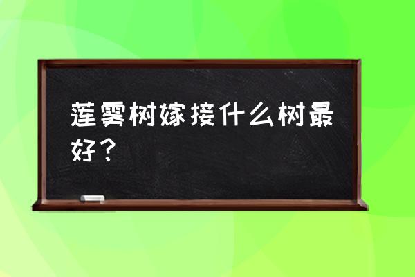 金刚莲雾果可以整个吃吗 莲雾树嫁接什么树最好? 金刚莲雾果可以整个吃吗 莲雾树嫁接什么树最好?