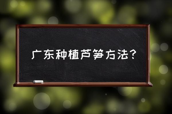 芦笋有什么好处和坏处 广东种植芦笋方法？