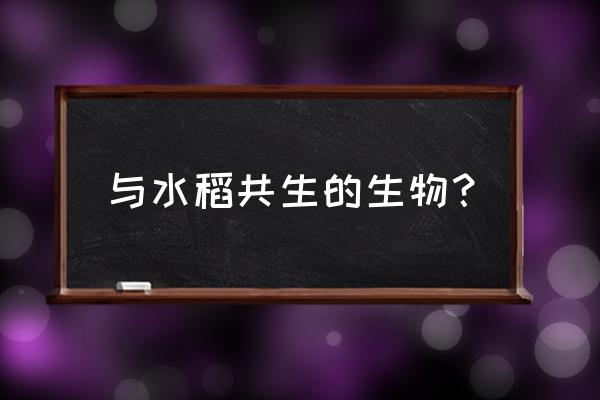 稻田养殖的蓝藻怎么处理 与水稻共生的生物？