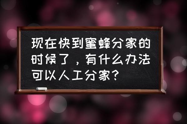 散养的蜜蜂怎么人工分蜂 现在快到蜜蜂分家的时候了，有什么办法可以人工分家？