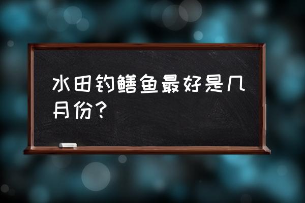 黄鳝几月份最活跃 水田钓鳝鱼最好是几月份？