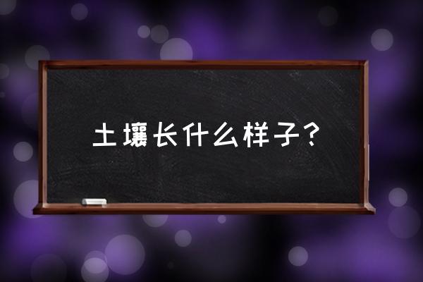 土壤臭气怎么消除 土壤长什么样子？