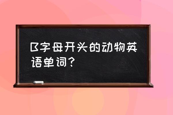 兔子是禽还是兽 B字母开头的动物英语单词？