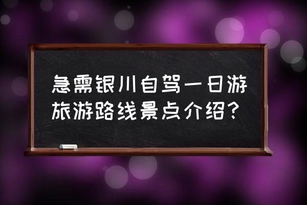 延安一日游最佳路线自驾 急需银川自驾一日游旅游路线景点介绍？