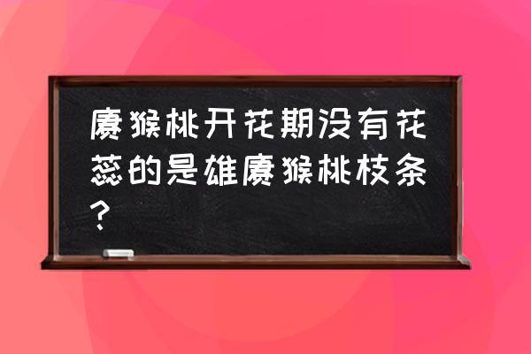 猕猴桃开花不结果是什么原因 猕猴桃开花期没有花蕊的是雄猕猴桃枝条？