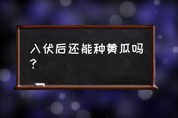 刚入伏北方种什么菜适合 入伏后还能种黄瓜吗？