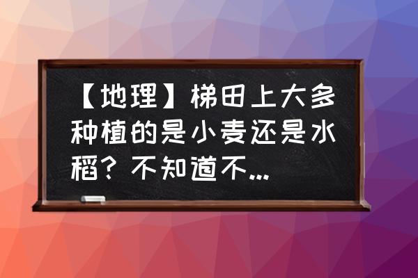 我的世界中如何种小麦 【地理】梯田上大多种植的是小麦还是水稻？不知道不要瞎说？