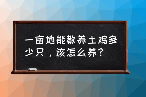 散养土鸡最佳方案 一亩地能散养土鸡多少只，该怎么养？