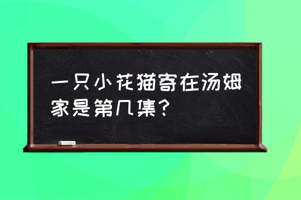 猫和老鼠哪一集猫回老家 一只小花猫寄在汤姆家是第几集？