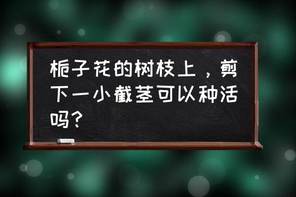 树枝全部剪掉怎么能种活 栀子花的树枝上，剪下一小截茎可以种活吗？