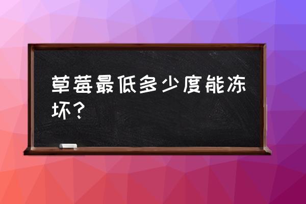 草莓放阳台上会冻死吗 草莓最低多少度能冻坏？