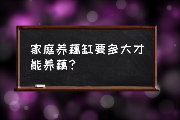 水桶种莲藕不用泥的简易方法 家庭养藕缸要多大才能养藕？